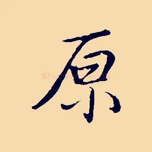 原