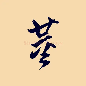 董