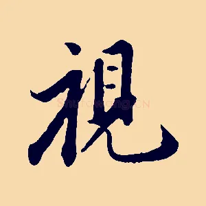 視