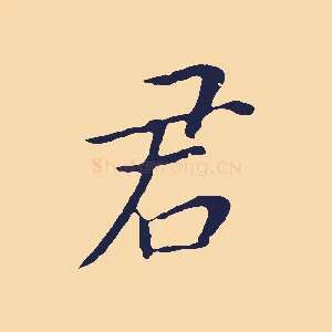 君
