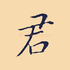 君