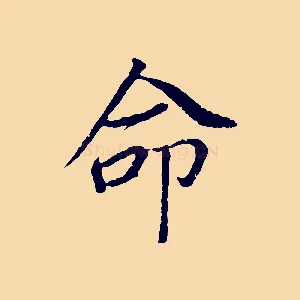 命