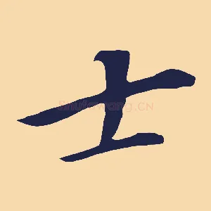 士