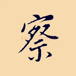 察