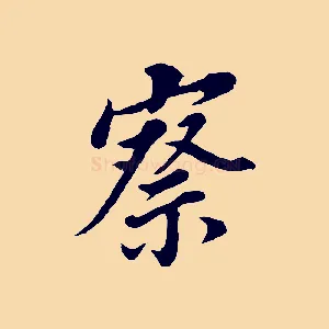 察