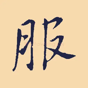 服