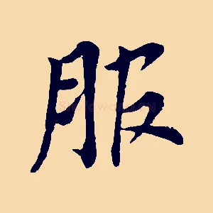 服