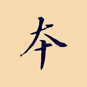 本