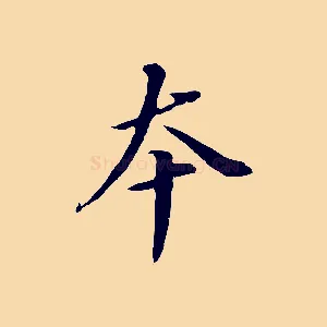本