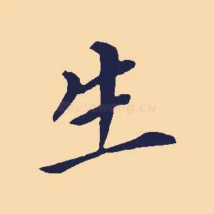 生