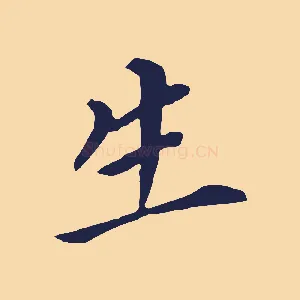 生