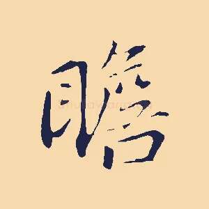 瞻