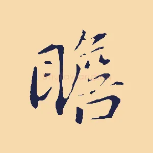 瞻