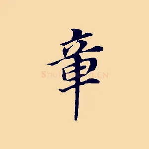 章