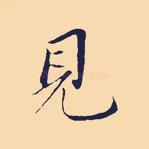 見