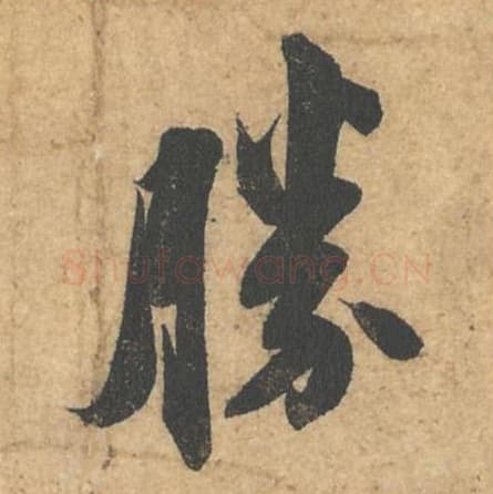 胜毛笔行书的写法,蔡襄书法行书胜单字帖图片,摘自获见帖第022字