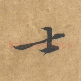 士