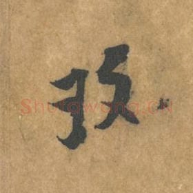玫