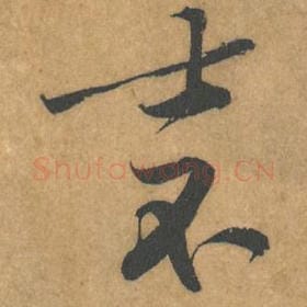 士