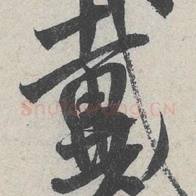 戴