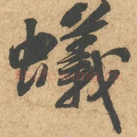 蚁