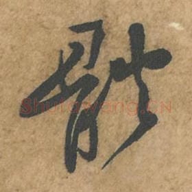 体