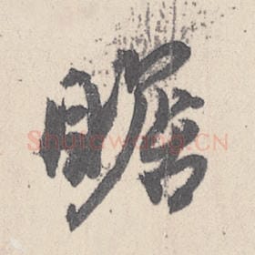 瞻